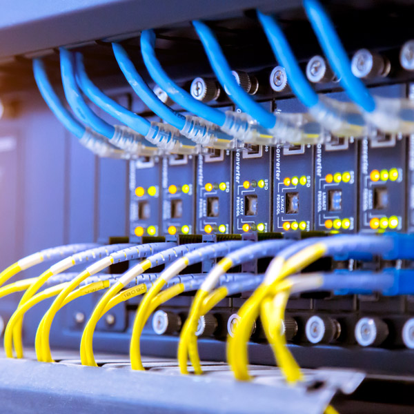closeup of network cables